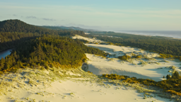 Wind-sculpted sand dunes sweep between ancient forests and the Oregon coast.