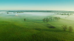 Morning mist drifts across emerald fields as a new day unfolds over the Alabama plains.